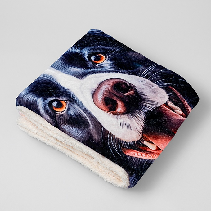 Warm Snuggly Waterproof Pet Blanket