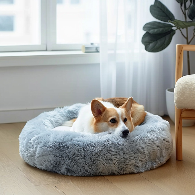 cozy donut cushion