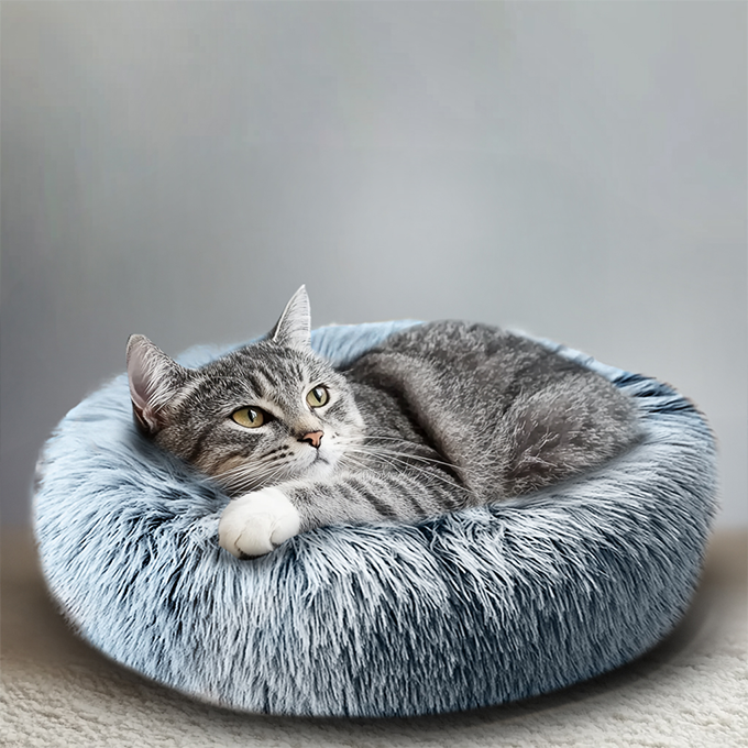 Plush Pillows & Cushions