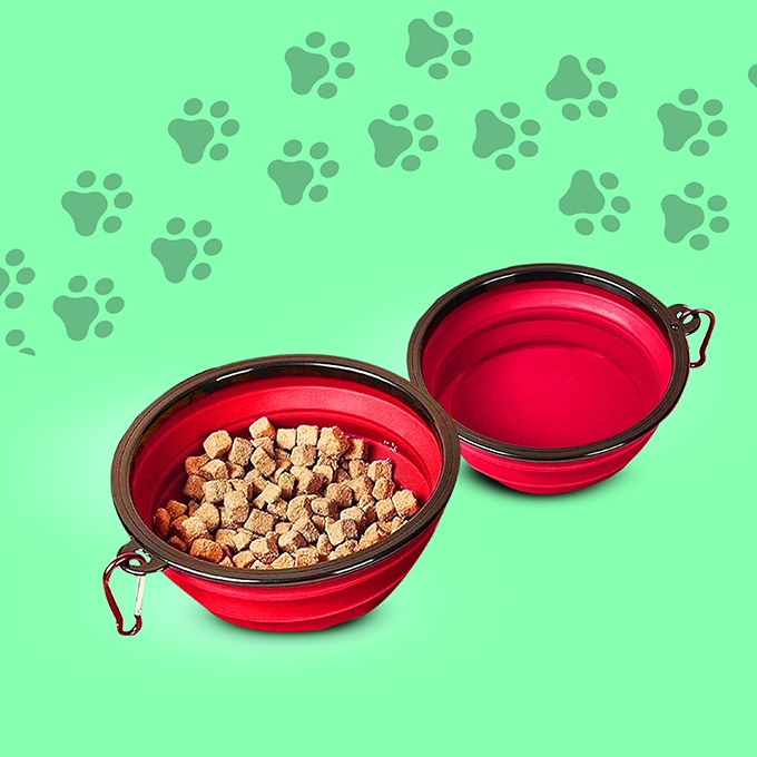 Collapsible Feeding Bowl