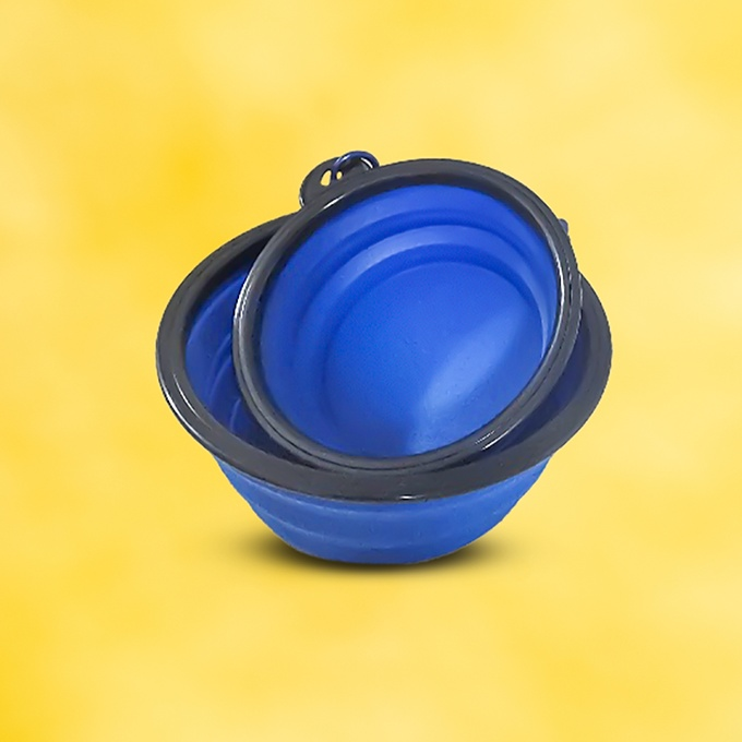 Collapsible Feeding Bowl