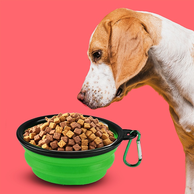 Collapsible Feeding Bowl