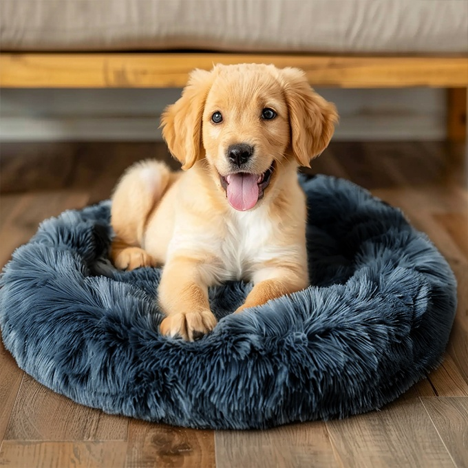 Calming Donut Cushion