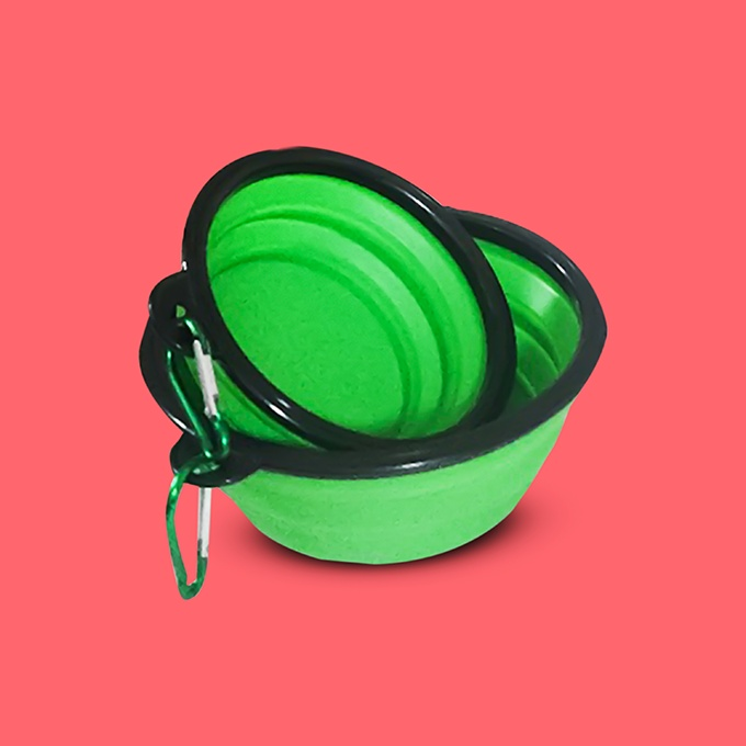 Collapsible Feeding Bowl