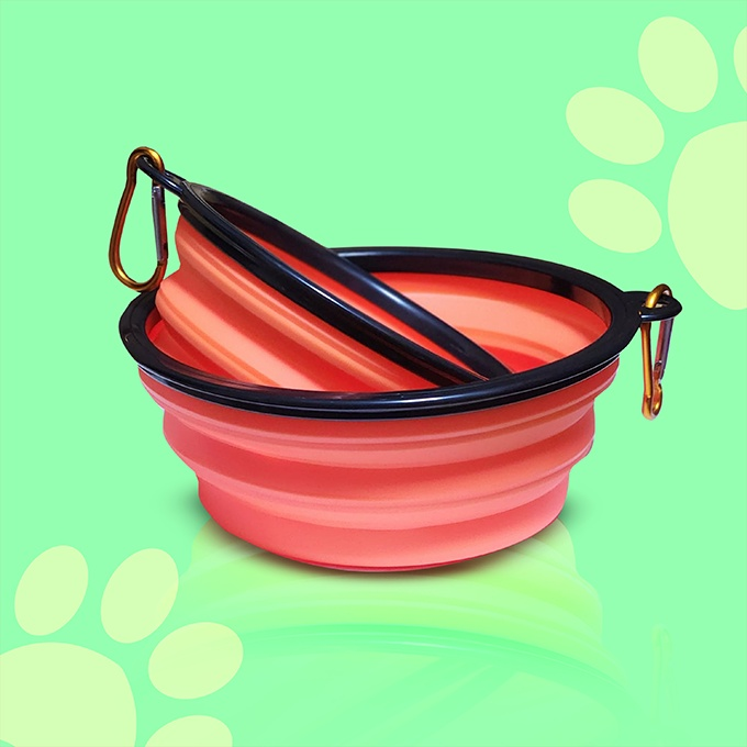 Collapsible Feeding Bowl