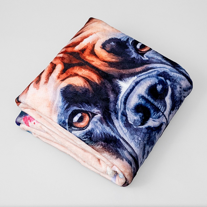 Snuggly Cozy Waterproof Pet Blanket